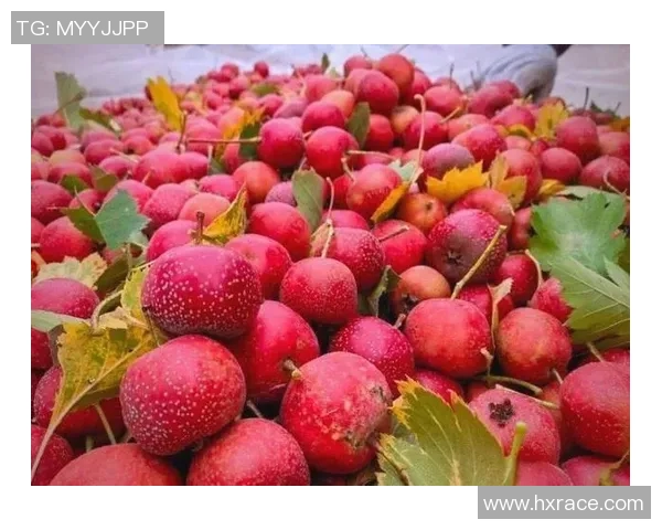 赵丽独家分享排球心得与技巧助你提升球技的全面指南 赵丽独家分享排球心得与技巧助你提升球技的全面指南