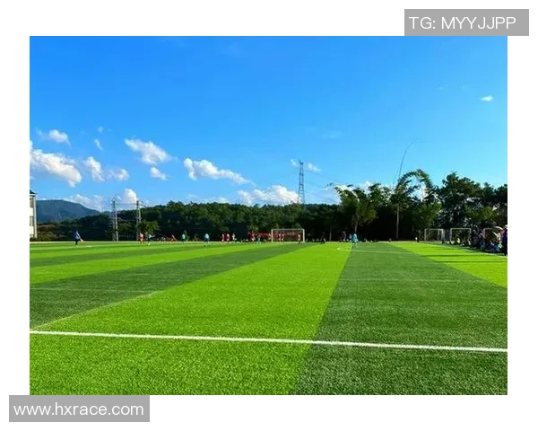 赵军独家解析足球技巧与战术心得分享助你提升球技与观赛体验