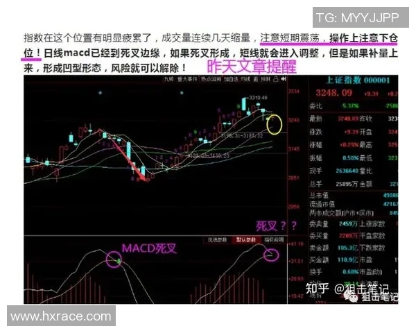 重庆篮球队与深圳篮球队赛后复盘分析比赛节奏与战术执行的关键因素