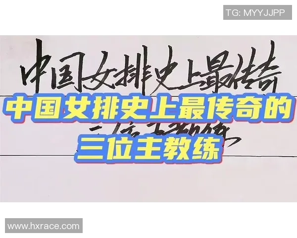 陈芳专访：从排球新星到传奇教练的奋斗与成长之路