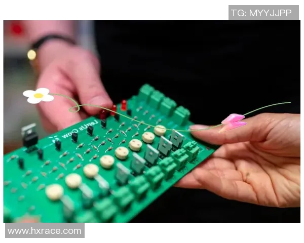 南京羽毛球队整体压制革新之路探秘与未来展望